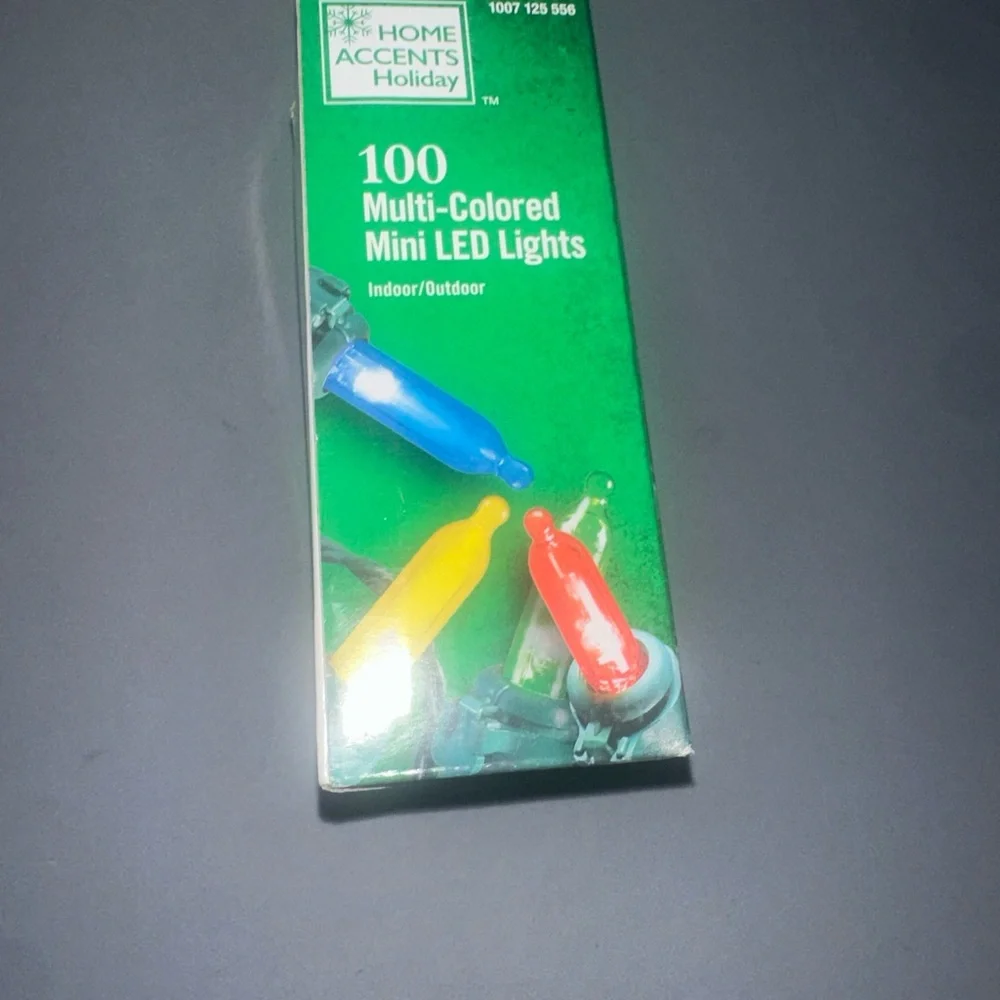 Multi-Colored LED Lights 100 Count Home Accents